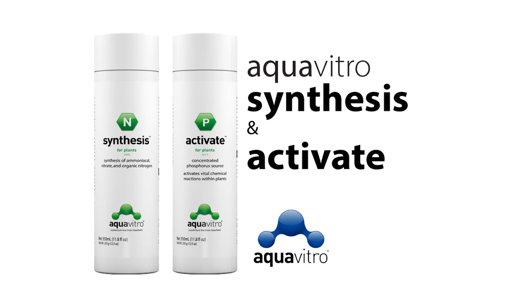 Aquavitro Synthesis & Activate