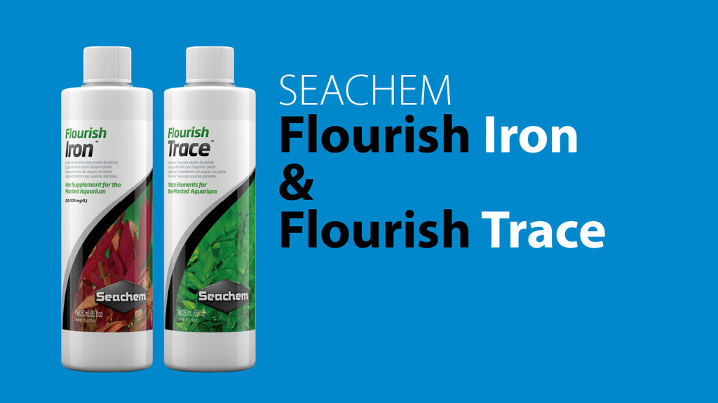 Seachem Flourish Iron and Flourish Trace