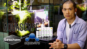 How to setup a nano aquascape tank with Seachem and Aquavitro