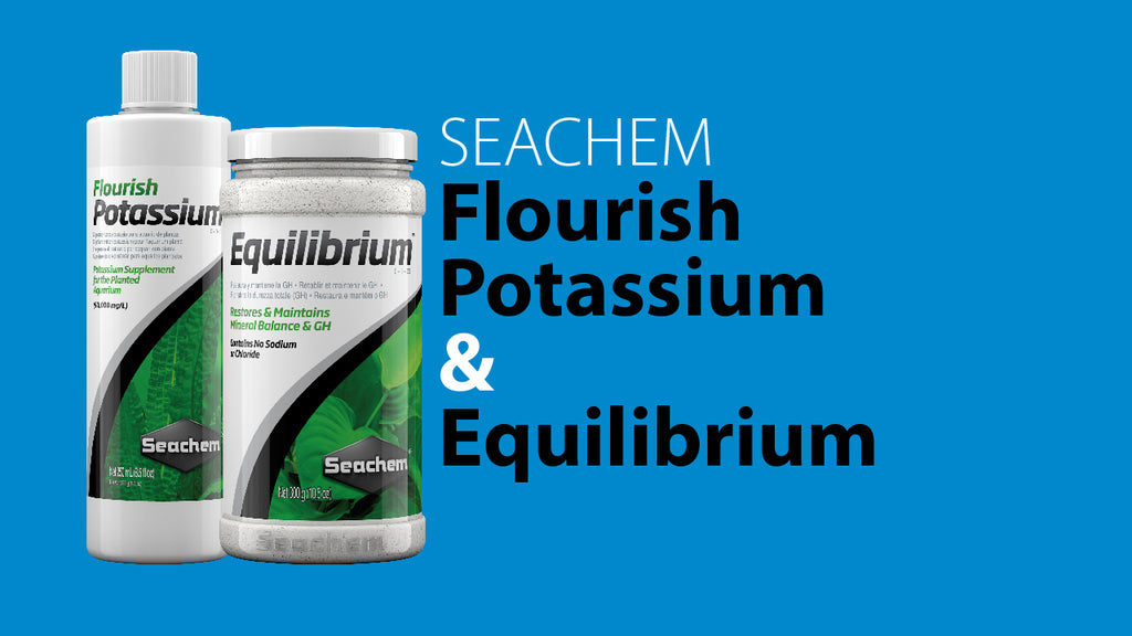 Seachem Flourish Potassium and Equilibrium